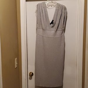 Ashley Stewart Silver Dress